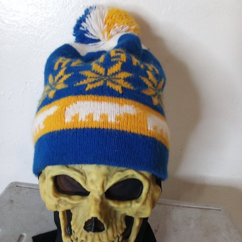 Vintage Alaska Polar Bears Winter Beanie Pom Hat